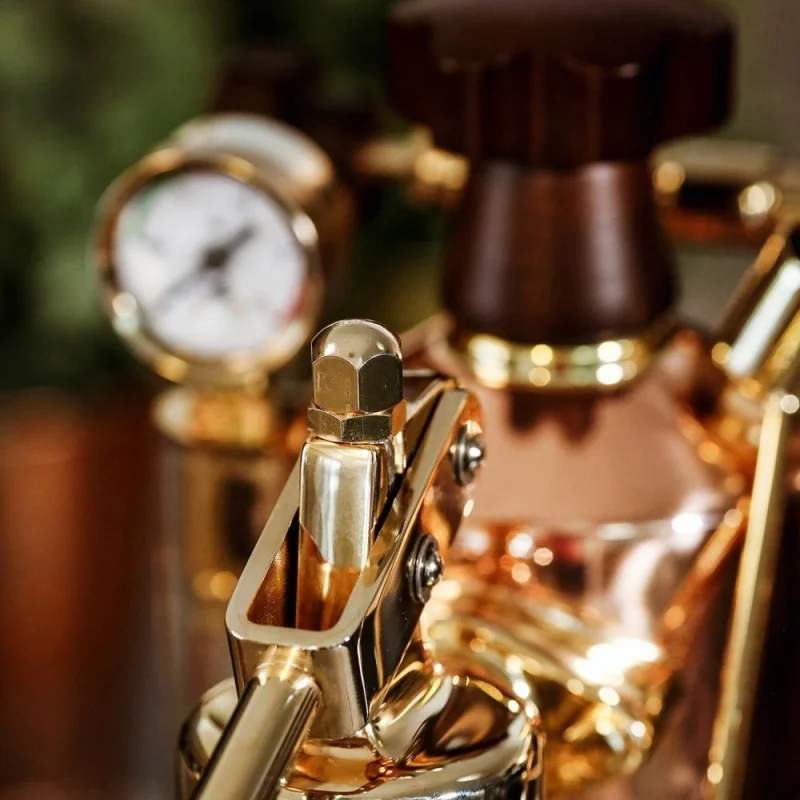 Кафемашини и кафеавтомати Лостова еспресо кафемашина La Pavoni LPLPRG01EU Professional Frame Gold