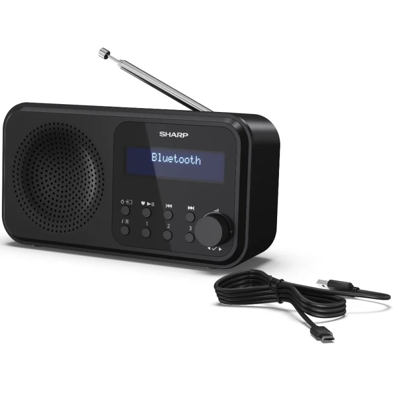 Аудио техника Преносимо цифрово радио Sharp DR-P420(BK)